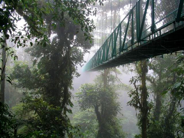 Monteverde