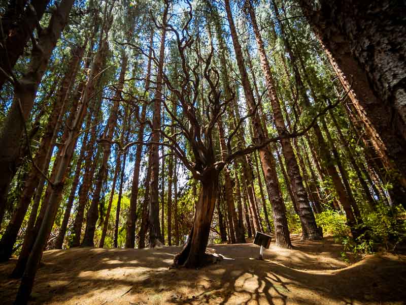 Tour: Travel Coordination & Research