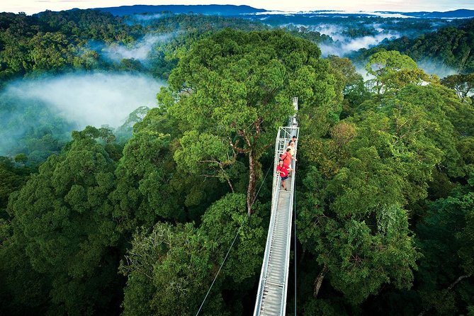 Hanging Bridges