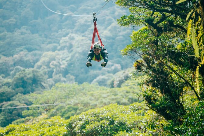 Zipline Adventure
