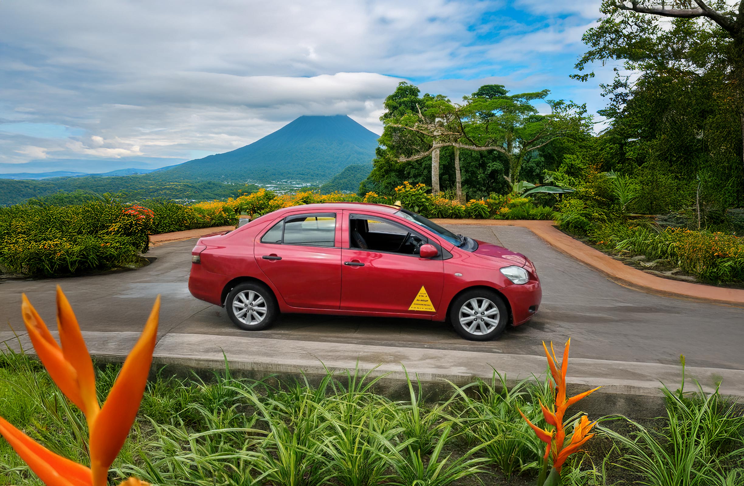 Tour: Airport Transfers & Local Tours